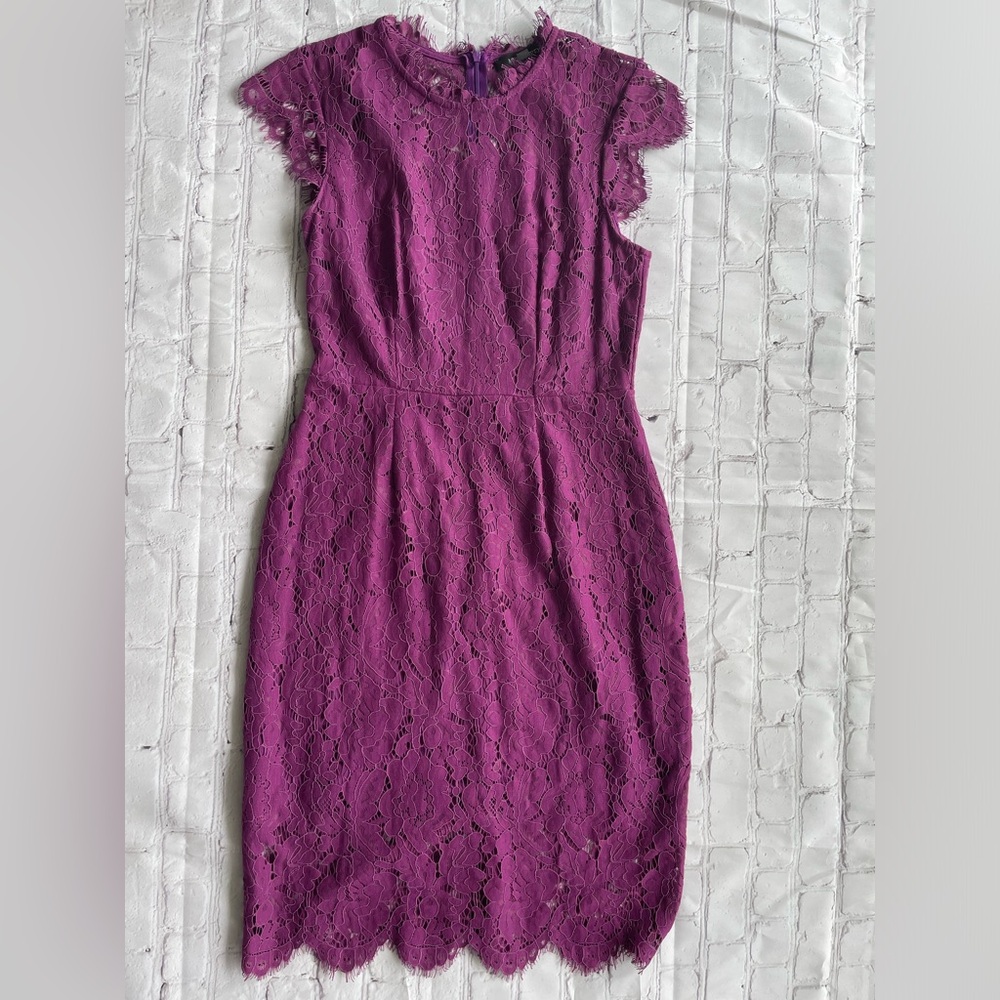 Sleeveless Plum lace crew neck knee length party dress